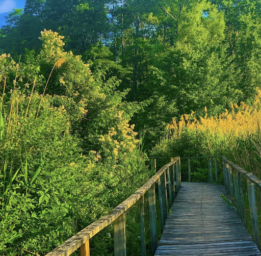 greatflatsnaturetrail