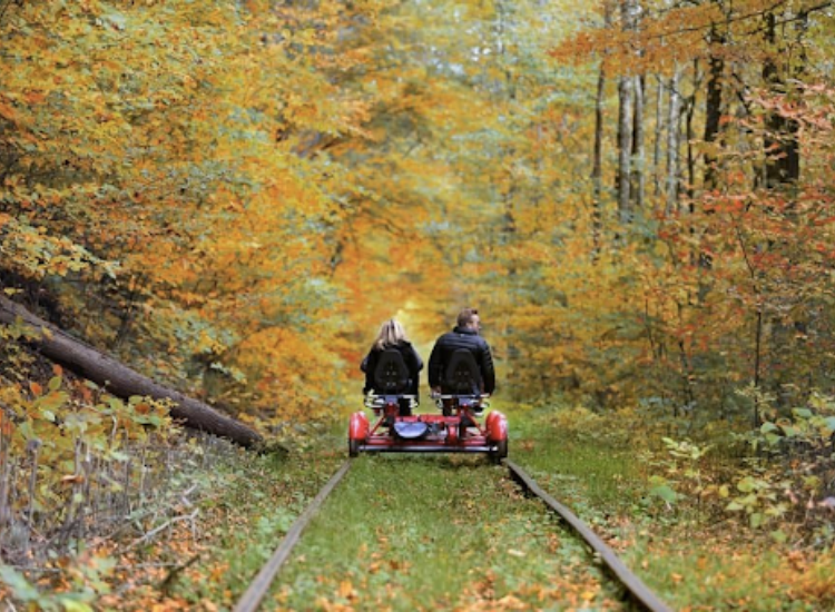 Autumn in CapNY: Finding the Fun in Fall